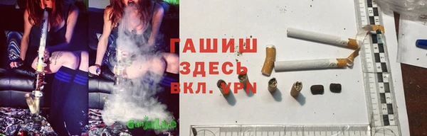 дживик Гусев