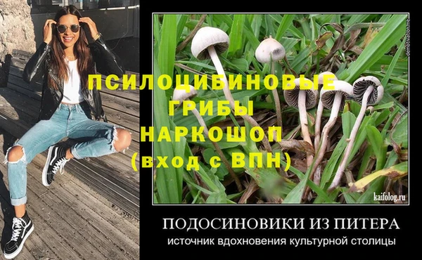 дживик Гусев