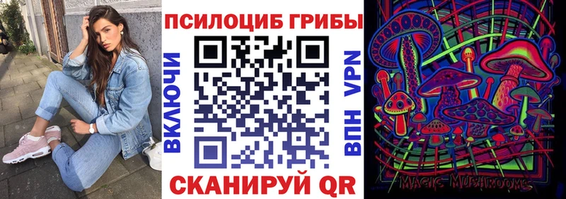 Псилоцибиновые грибы прущие грибы  Купить закладки  Полевской 